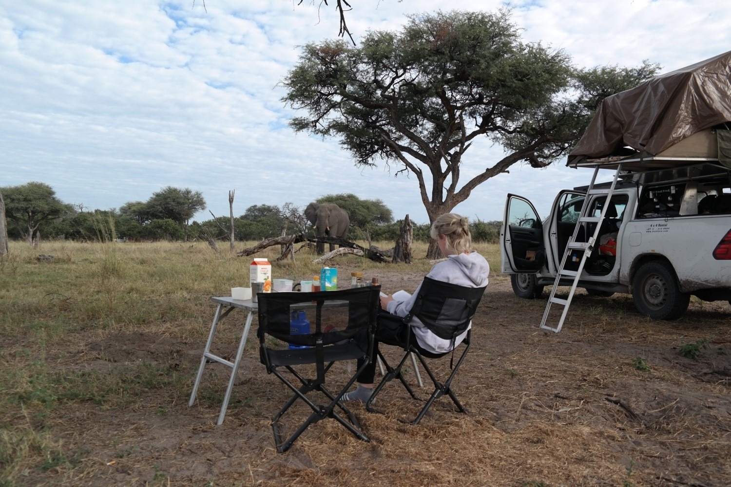 maiers guest photo self drive