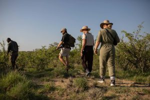 Bateleur Safari Camp Timbavati South Africa Greater Kruger3