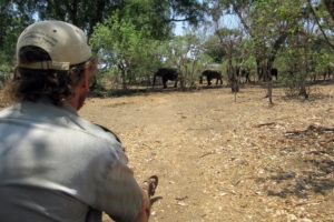Being on foot with the big five