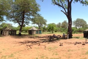 Botswana Mobile Safari Camp Pano