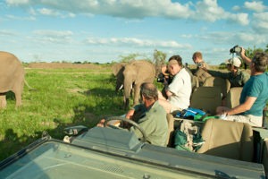 Ecotraining Elephant in car wide angle