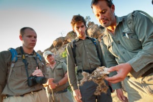 Ecotraining Guiding