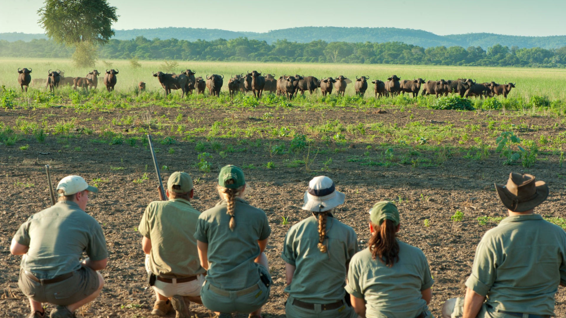 Ecotraining trails guide buffaloes