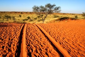 Kalahari Anib Lodge Dunes