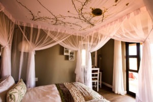Kalahari Anib Lodge Room2