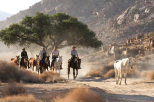 Namibia horse riding group