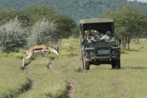Ongava Tented Camp Drive