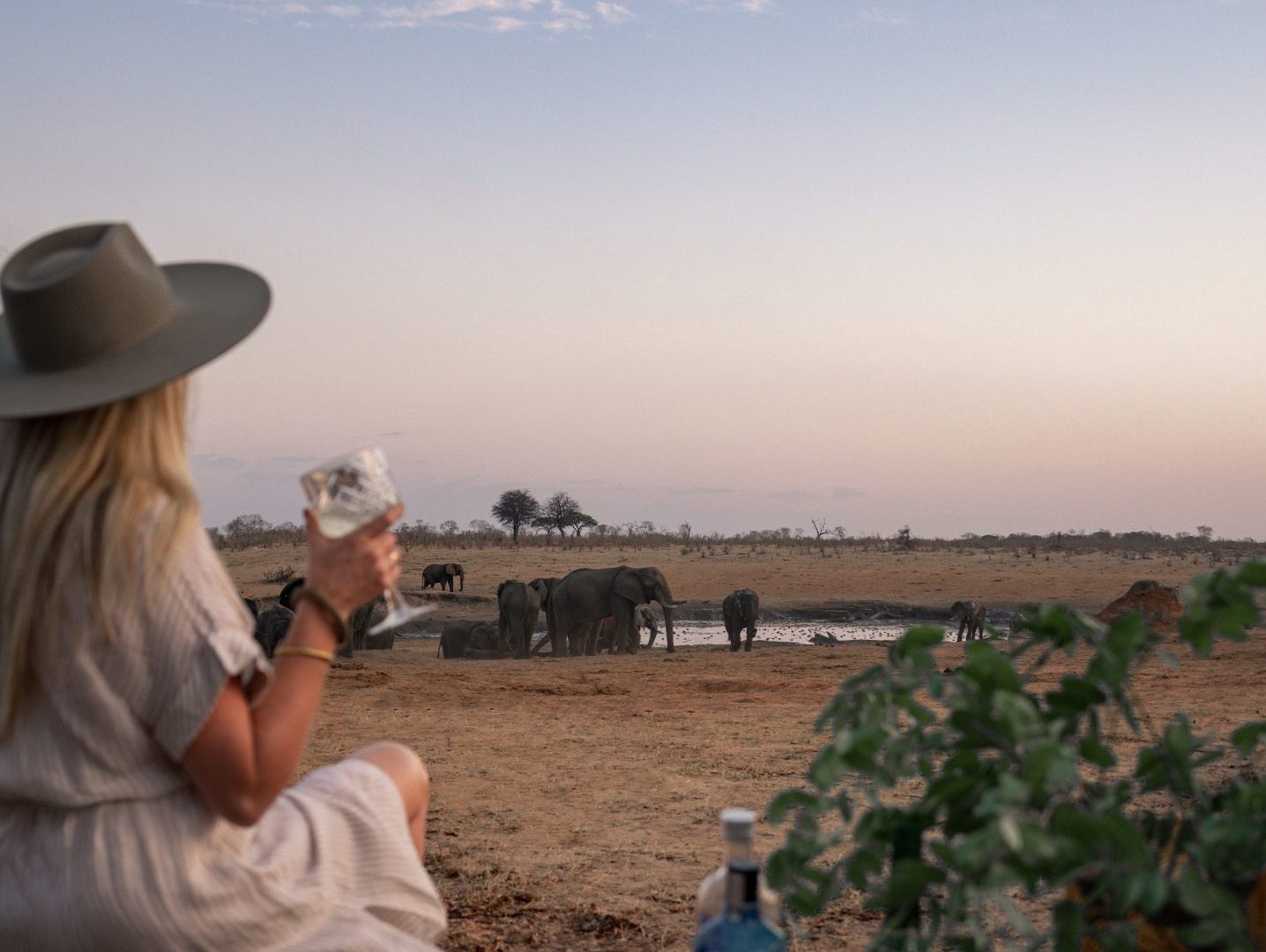 Verneys Camp Zimbabwe Hwange27