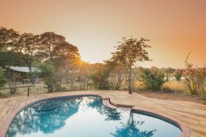Verneys Camp Zimbabwe Hwange45