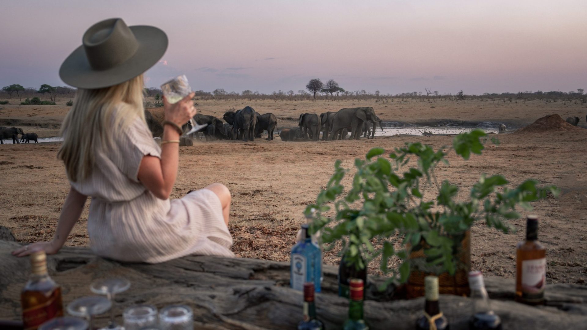 Verneys Camp Zimbabwe Hwange5