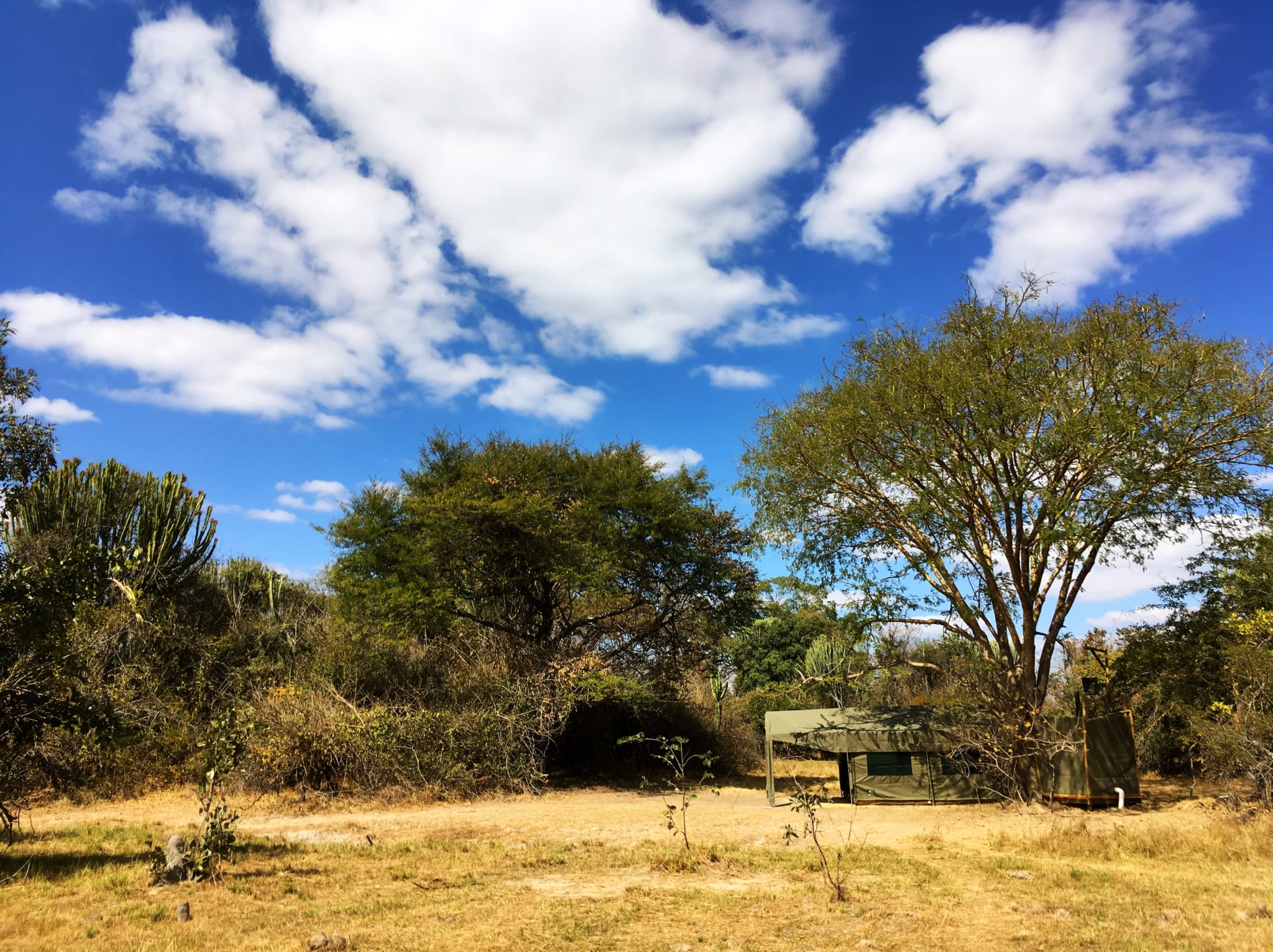 Zambia kafue busanga mobile safari camp