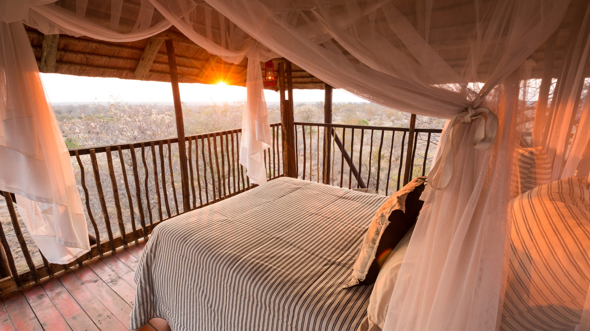 africa on foot deck view