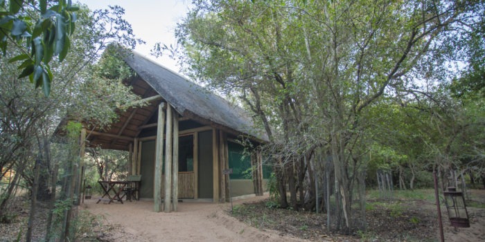bateleur timbavati room outside
