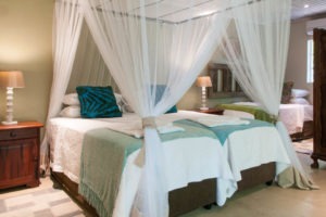 bayete vicfalls twin beds