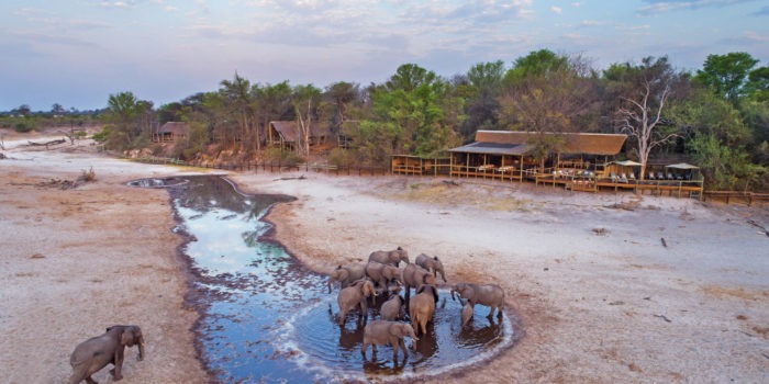 botswana savuti savute safari lodge chobe 11