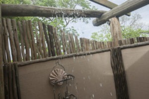 chobe elephant camp outdoor shower