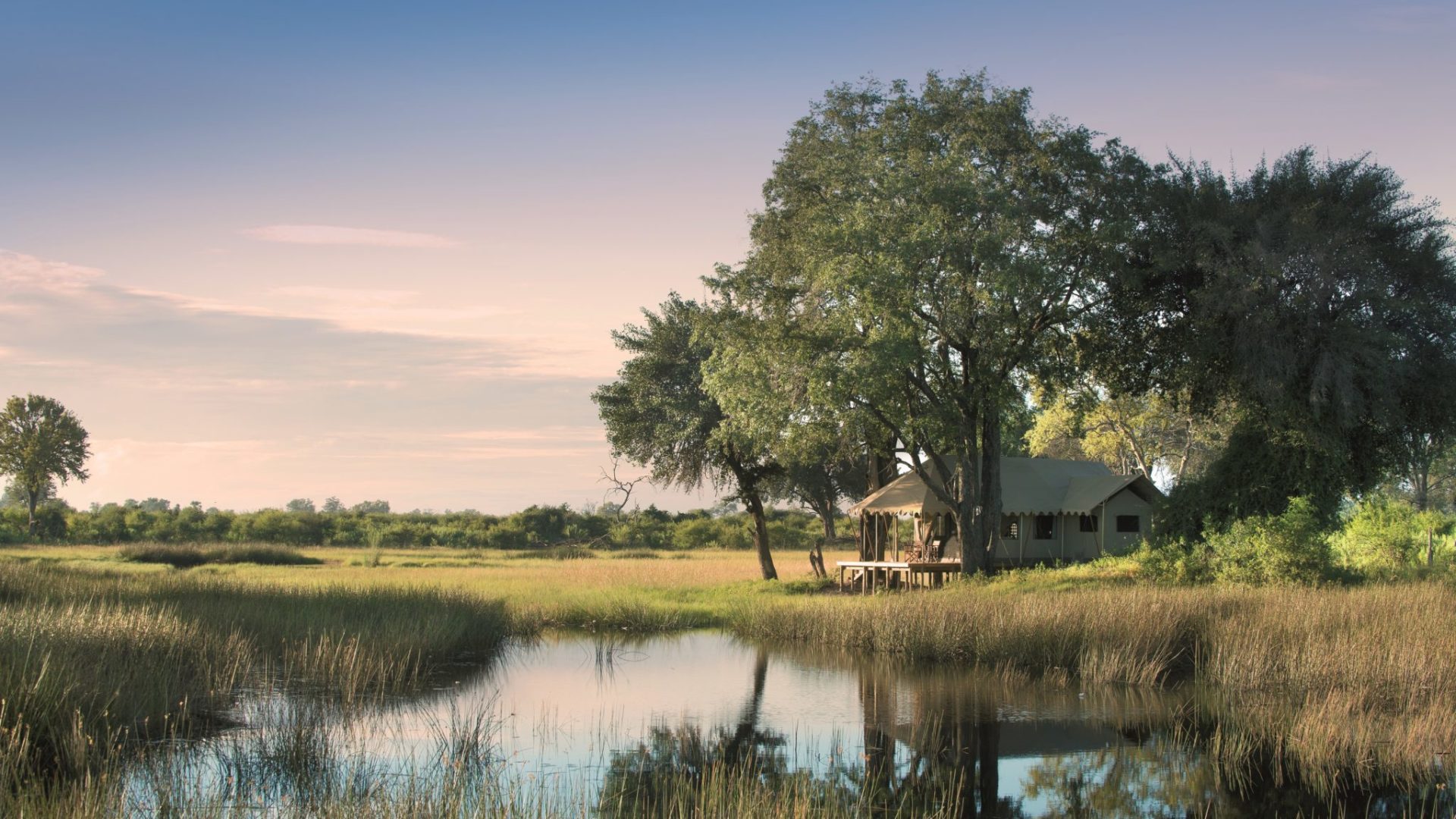 duba expedition camp botswana view tent 1