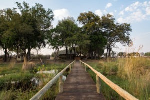 duba expedition camp botswana walkway