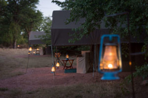 hwange bush camp tents exterior