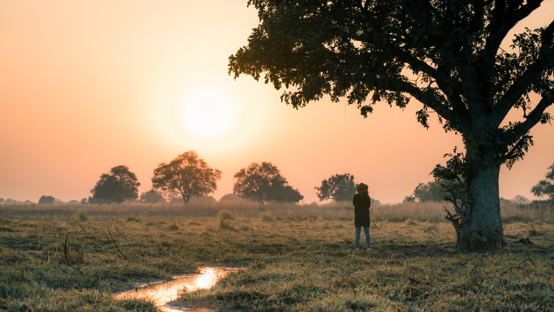 luambe camp sausage tree gesa