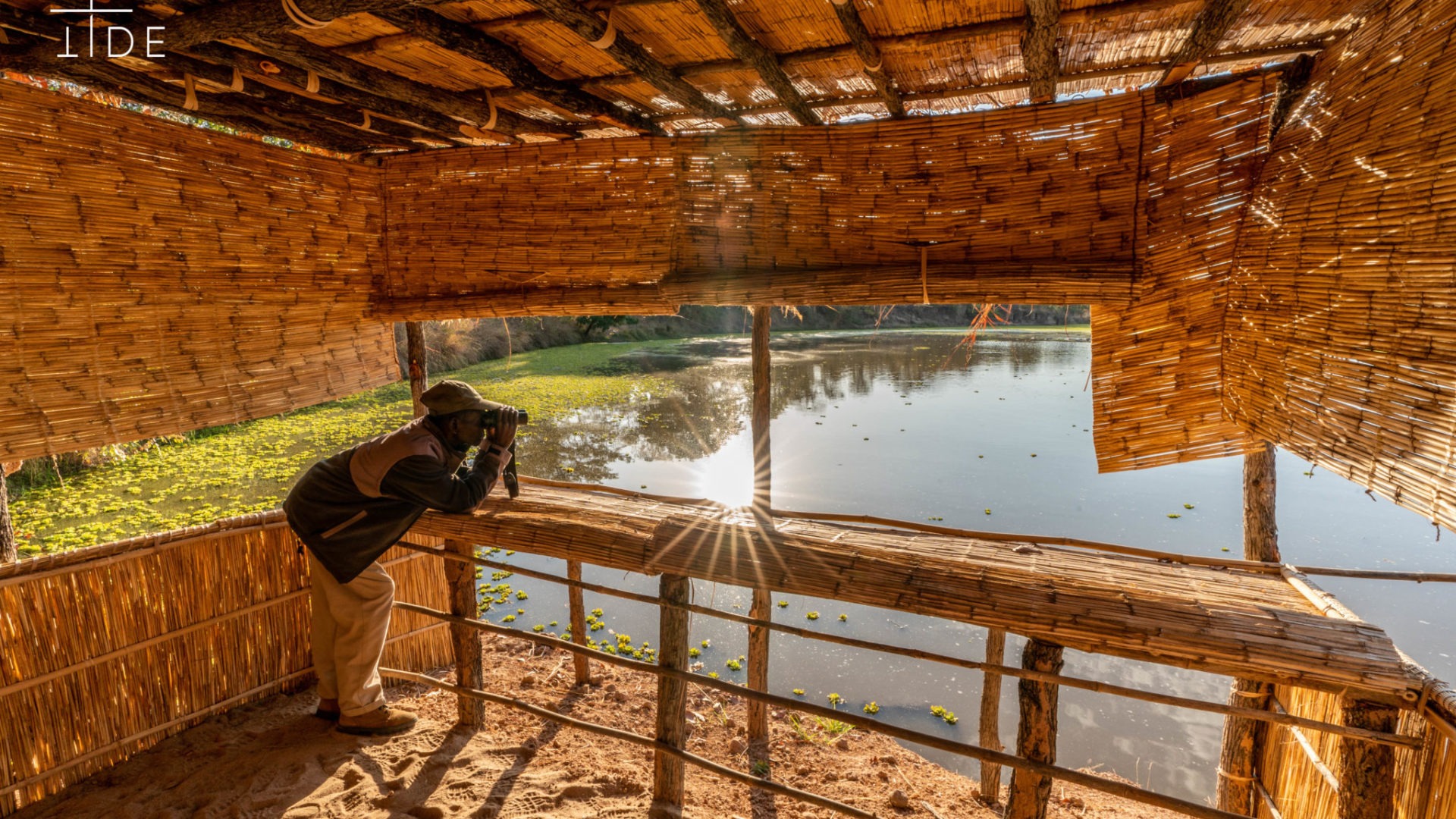 luwi camp hide