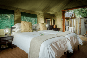 mashatu tented camp double bed