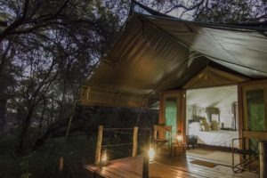mashatu tented camp tent night