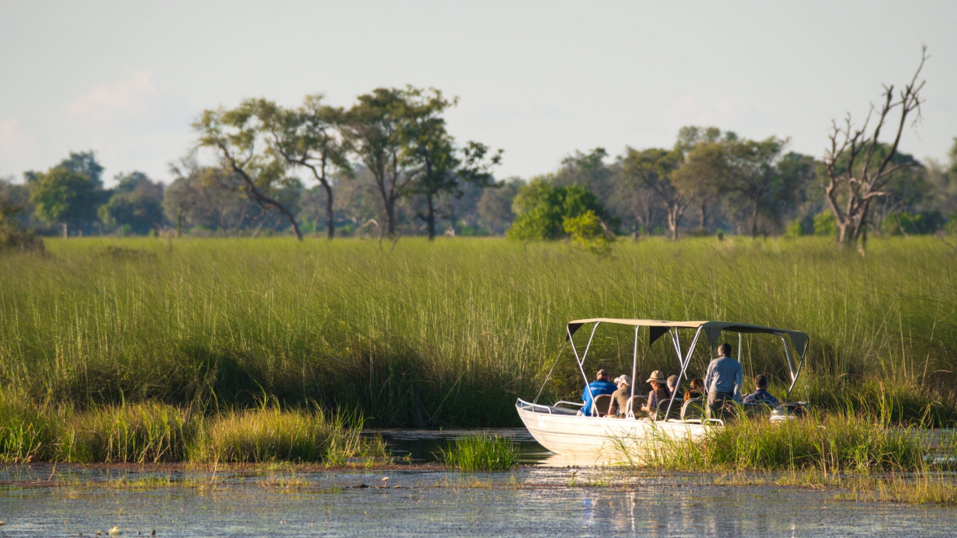 moremi boat okavango delta safari