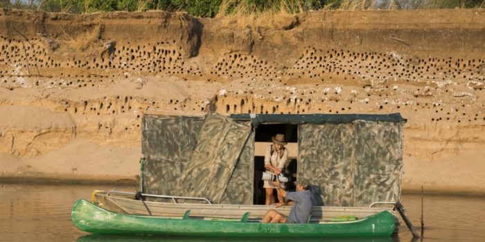 mwamba luangwa carmine hide