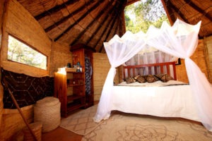 mwamba luangwa chalet skylight
