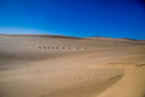 namibia fat bike cycling through namib desert