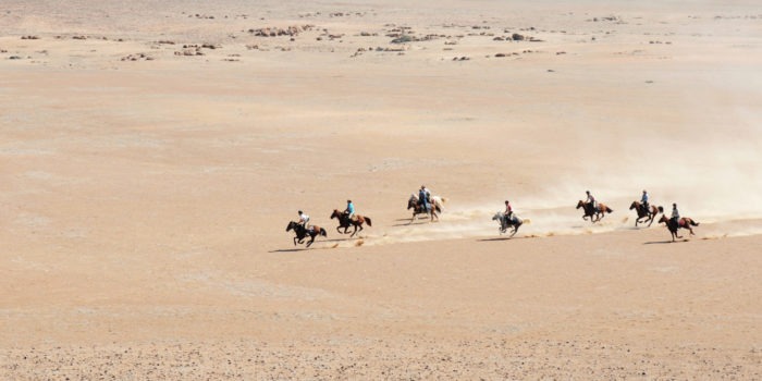 namibia horse riding gallop