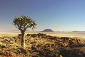 namibia photo safari namib rand