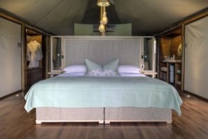 ngala tented camp guest tent