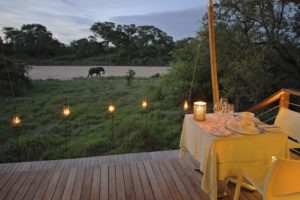 ngala tented camp private dinner