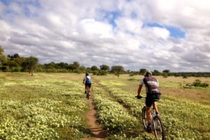 northern tuli botswana cycling safari landscape flowers