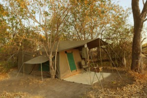 okavango delta bush skills training Kwapa Camp accommodation
