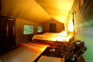 pioneer camp lusaka tent