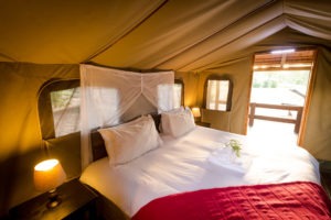 shindzela timbavati tent double bed