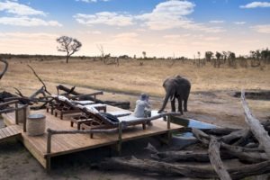 somalisa expeditions hwange elephant pool far