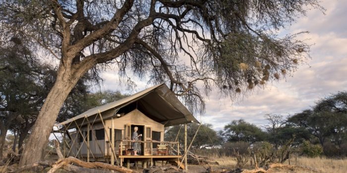 somalisa expeditions hwange tent outside