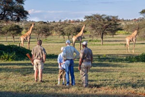 tswalu kalahari walking safari