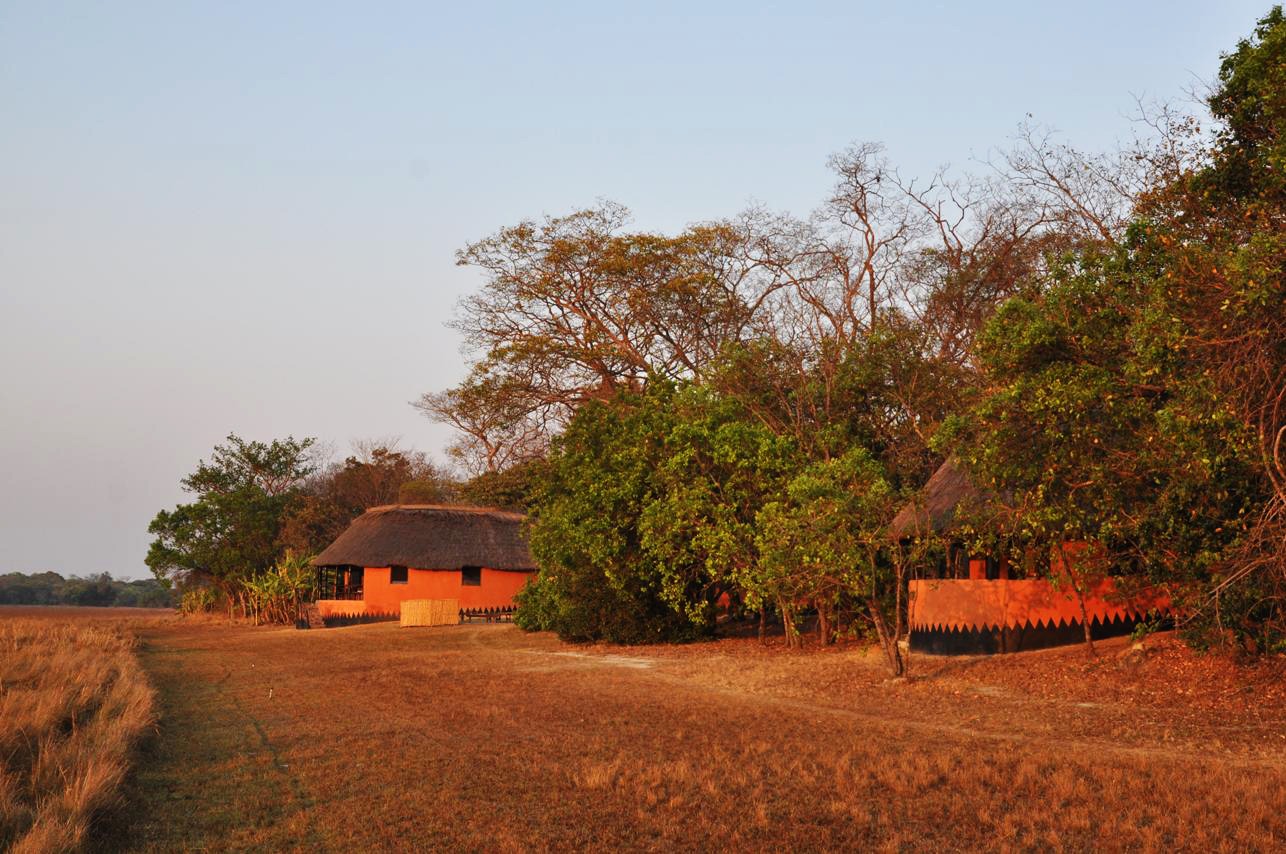 wasa lodge kasanka rooms