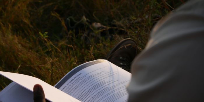 Blog-Leon-Book