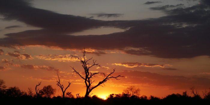 Blog-Leon-Sunset
