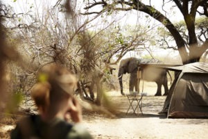 Blog-Anna-Elephant-Tent