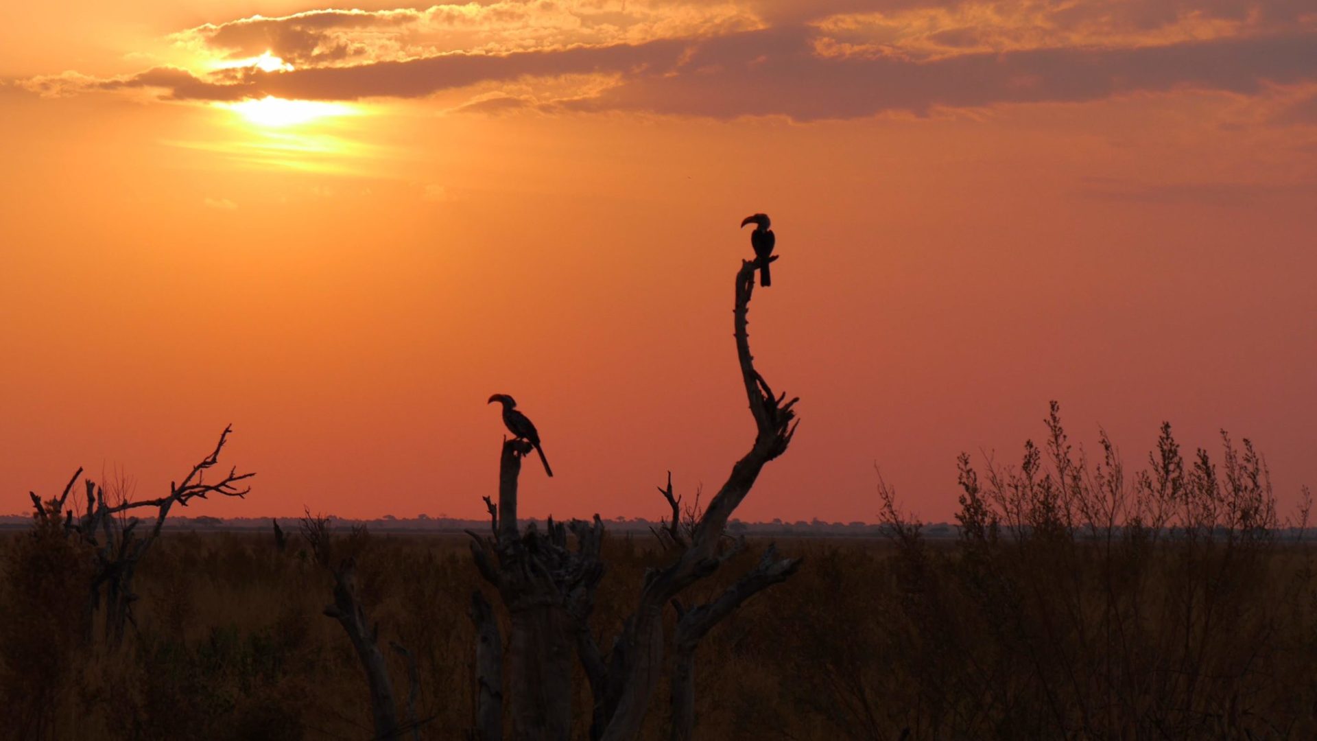 Blog Sabrina Sunset