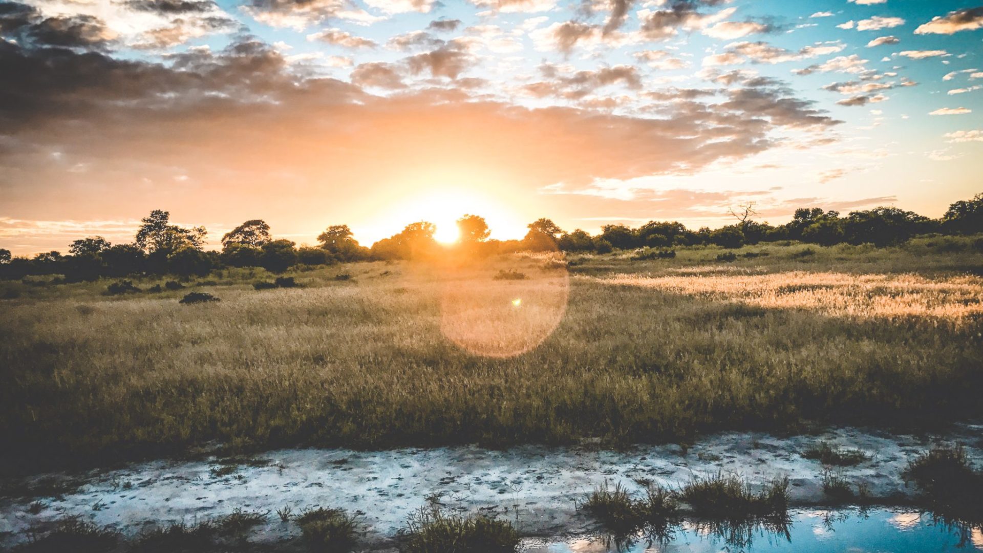Delta Botswana