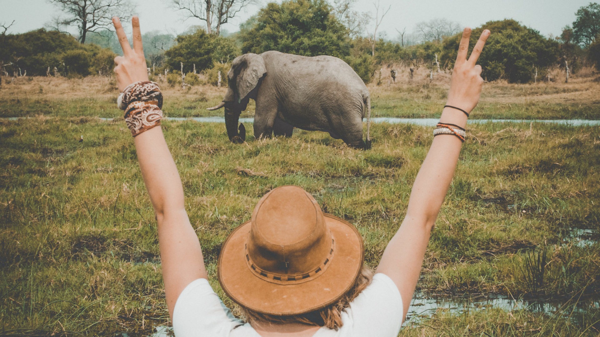Gesa Back elephant