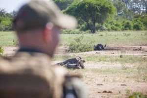 Greater kruger national park hiking tracking on foot safari guide